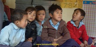 Education news