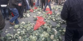 पाँचखालको इट्टा भट्टा र प्लाईउड उद्योगको विरुद्ध किसान सडकमा
