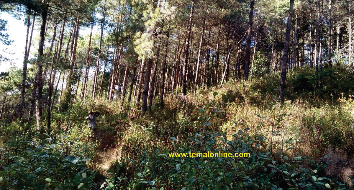 तेमालको सिङन्हान गाङमा बन्नेभयो तामाङ संग्रहालय, सांसद बमध्वजको नेतृत्वमा स्थान छनौंट