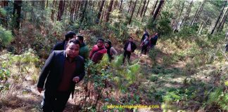 तेमालको सिङन्हान गाङमा बन्नेभयो तामाङ संग्रहालय, सांसद बमध्वजको नेतृत्वमा स्थान छनौंट