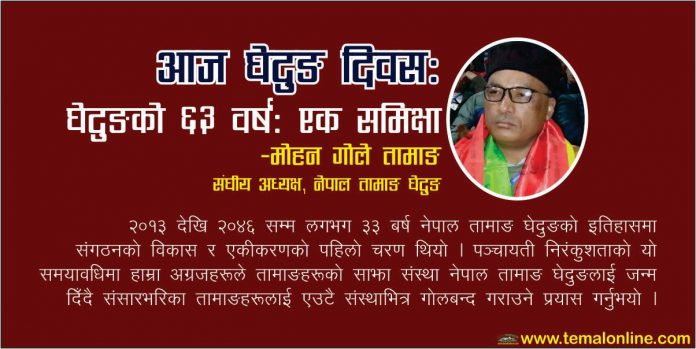 मोहन गोले तामाङ तामाङ समुदायको राष्ट्रिय संस्था नेपाल तामाङ घेदुङ ६३ औं बर्षमा प्रवेश गरेको छ । यस अवसरमा घेदुङ संघीय कार्यालयले विशेष कार्यक्रमको आयोजना गरी बर्षगाँठ मनाउदैछ । यसैगरी देश, विदेशका घेदुङ सम्बद्ध संगठनहरुले समेत विभिन्न कार्यक्रमको आयोजना गरिरहेको जानकारी प्राप्त भएको छ । यो संगठनको जीवनमा ठूलो उपलब्धि हो । २०१३ सालमा आजकै दिन १३ जना तामाङ अग्रजहरुको सक्रियतामा हर्कजित लामाको अध्यक्षतामा नेपाल तामाङ समिति नामको संस्थाको स्थापना भयो । संस्थाको संरक्षक कर्णेल सन्तबीर लामा हुनुहुन्थ्यो । संस्थाको उपाध्यक्ष पुण्यबज्र लामा, सचिव तोपबहादुर लामा र सदस्यहरु कुमार सिंह लामा, अष्टबहादुर लामा, चक्रबहादुर लामा, सिद्धिबज्र लामा, तीर्थमान लामा, खड्गबहादुर लामा, बी. बी. लामा, धनबहादुर लामा र चन्द्रमान लामा हुनुहुन्थ्यो । जो हामी बीचमा आज हुनुहुन्न । २००७ सालको परिवर्तनपछि स्थापना भएको यो संस्था २०१७ सालमा राजा महेन्द्रले सैनिक कू को माध्यमबाट निर्दलीय पञ्चायती ब्यवस्थाको प्रारम्भ गरेपछि सक्रियताका साथ अघि बढ्न सकेन । संघ, संस्था खोलेर आफ्नो समुदायको अधिकार, पहिचानको कुरा गर्न प्रतिवन्ध लागेकै अवस्थामा पनि हाम्रा केही अग्रजहरुले तामाङहरुलाई संगठित गर्नका खातिर २०३२ सालमा भोटे पिकनिकको आयोजना गर्नुभयो । यो आफैमा एउटा ऐतिहासिक र साहसिक कार्य थियो । त्यो पिकनिकको मुख्य आयोजकहरु सीताराम तामाङ, परशुराम तामाङ, कमान सिंह लामा, टासी फिन्जो लामा, एन. बी. लामा, पारिजात, दावा फिन्जो लामा, छ्वाङ सोनाम तामाङ र कान्छा लामा हुनुहुन्थ्यो । उहाँ आयोजकहरुले गोकर्ण र ककनीमा भोटे बनभोजको आयोजना गर्नुका साथै थ्वीन्डेल पत्रिका प्रकाशन गर्नुभयो । यसरी उहाँहरुले भित्रभित्रै विभिन्न बहानाबाजीमा आफ्नो समुदायको हितमा राज्यको आँखा छल्दै काम गर्दै जानु भयो । २०१३ देखि २०४६ सम्म लगभग ३३ बर्ष नेपाल तामाङ घेदुङको इतिहासमा संगठनको विकास र एकीकरणको पहिलो चरण थियो । पञ्चायती निरंकुशताको यो समयावधिमा हाम्रा अग्रजहरुले तामाङहरुको साझा संस्था नेपाल तामाङ घेदुङलाई जन्म दिँदै संसारभरिका तामाङहरुलाई एउटै संस्थाभित्र गोलबन्द गराउने प्रयास गर्नुभयो र तामाङ हिड्ने बाटो अर्थात तामाङ आन्दोलनको रेखाङ्कन कोर्नुभयो । यो ज्यादै जटिल कार्य थियो । यसपछि २०४६ मा कुमार सिंह वाईबाको संयोजकत्वमा बृहत् राष्ट्रिय तामाङ सम्मेलन आयोजक समिति गठन भयो । जसमा सदस्यहरु परशुराम तामाङ, भिम योन्जन, विद्यासागर योन्जन, लामा टी. ग्याल्छेन, जीतबीर लामा, आशा दोङ, अमृत योन्जन, प्रताव बल, बिकास लामा, बमबहादुर मोक्तान, परमान सिंह मोक्तान रहनु भएको थियो । यो समितिले २०४७ मा नेपाल तामाङ घेदुङको दोस्रो राष्ट्रिय सम्मेलन सम्पन्न ग¥यो । यसबाट अध्यक्ष निर्मल कुमार लामा, उपाध्यक्ष जीतबीर लामा, महासचिव परशुराम तामाङ, सचिव अमृत योन्जन, कोषाध्यक्ष भिम योन्जन, सहकोषाध्यक्ष बंशलाल तामाङ, सचिवालय सदस्यहरु विद्यासागर योन्जन, प्रदिप बमजन, सोमबहादुर तामाङ र सदस्यहरु क्रमशः एल. आर. तामाङ, सम्बरबहादुर तामाङ, आशा दोङ, रमेशकुमार नेगी, जयप्रसाद गोले, रत्नकुमार तामाङ, छोनाम्गेल तामाङ, छिरिङ तामाङ, ज्ञानबहादुर गोले, प्रताप बल, मदन बल, अर्जुन योन्जन, प्रेमबहादुर तामाङ, ज्ञानबहादुर तामाङ, कमलबहादुर बमजन, कृष्णभुषण बल, हस्तबहादुर लामा, प्रताप सिंह तामाङ, रामबहादुर तामाङ, बिजयबहादुर दोङ, बेलबहादुर तामाङ र हर्कबहादुर तामाङ रहेको ३१ सदस्यीय राष्ट्रिय कार्यकारिणी समिति गठन गरियो । २०४६ सालको परिवर्तनपछिका दिनमा भने संस्थाले आफ्नो गतिविधिलाई तिब्रता दिन थाल्यो । २०४९ सालमा तेस्रो राष्ट्रिय सम्मेलन सम्पन्न ग¥यो । यसबाट परशुराम तामाङको अध्यक्षतामा उपाध्यक्षहरु क्रमशः जीतबीर लामा, महेन्द्रजंग तामाङ, कान्छा लामा, महासचिव रमेशकुमार लामा, सचिव सोमबहादुर तामाङ, कोषाध्यक्ष परमान सिंह मोक्तान, सहकोषाध्यक्ष नरबहादुर स्याङ्तान रहेको ४५ सदस्यीय राष्ट्रिय कार्यकारिणी समिति गठन भयो । यो समितिले ४ बर्षे कार्यकाल पुरा गरी २०५४ मा मोरङको उर्लाबारीमा चौथो राष्ट्रिय सम्मेलन सम्पन्न ग¥यो । यसबाट पुनः परशुराम तामाङकै अध्यक्षतामा उपाध्यक्षहरु क्रमशः महेन्द्रजंग तामाङ, गणेश बल, दिर्गबहादुर मोक्तान, देवकुमार तामाङ, महासचिव सोमबहादुर तामाङ, सचिव जयप्रसाद गोले, कोषाध्यक्ष नरबहादुर स्याङ्तान, सहकोषाध्यक्ष अजितमान तामाङ र विभिन्न जिल्लाबाट प्रतिनिधित्व गरेका केन्द्रीय सदस्यहरु सहित ५१ सदस्यीय राष्ट्रिय कार्यकारिणी समिति गठन ग¥यो । २०४६ देखि २०५८ सम्म लगभग १३ बर्ष नेपाल तामाङ घेदुङको इतिहासमा महत्वपूर्ण कामहरु भएका छन् । यो समयावधि खासगरी नीति, कार्यक्रम निर्माणको दोस्रो चरण थियो । यो अवधिमा तामाङ जातिलाई नेपालको आदिवासी जनजातिमा सूचिकरण गरियो, तामाङ लिपि तामयीगको विकास भयो, सोनाम ल्होछार संस्कृतिलाई राष्ट्रिय संस्कृतिको मान्यता दिलाउँदै तामाङ समाजमा स्थापित गर्नुका साथै जन्मदेखि मृत्युसम्म गरिने तामाङ संस्कार/संस्कृति निर्देशिका यही चरणमा निर्माण भयो । तामाङ भेषभूषा तोक्ने र तामाङ पहिचान स्थापित गर्ने सन्दर्भमा महत्वपूर्ण कामहरु भएका छन् । समग्रमा भन्नुपर्दा तामाङ जीवन पहिचानको खाका यही चरणमा निर्धारण गर्ने काम भयो । जसले गर्दा आज हामीलाई हाम्रो भाषा, लिपि, पर्व, संस्कार, भेषभूषा के हो ? भन्ने बारे कुनै बिबाद छैन जुन यही समयमा प्राप्त भयो । यसपछि २०५९ मा पोखरामा पाँचौ राष्ट्रिय सम्मेलन सम्पन्न भयो । यसबाट महेन्द्रजंग तामाङको अध्यक्षतामा उपाध्यक्षहरु क्रमशः देवकुमार तामाङ, धनप्रसाद तामाङ, रत्नसागर लामा, मणिकुमार तामाङ, महासचिव सोमबहादुर घले, सहमहासचिव कुमार ब्लोन, कोषाध्यक्ष मानबहादुर लामा रहेको ५५ सदस्यीय राष्ट्रिय कार्य कारिणी समिति गठन ग¥यो । लोकतान्त्रिक विधि र प्रक्रिया अनुसार विधान बमोजिम प्रत्येक ४/४ बर्षमा सम्मेलन सम्पन्न गर्दै आएको नेपाल तामाङ घेदुङको काठमाडौंमा सम्पन्न छैठौ राष्ट्रिय महाधिवेशनबाट धनप्रसाद तामाङको अध्यक्षतामा राष्ट्रिय कार्यकारिणी समिति गठन भयो । यो समितिको पदाधिकारीको नामावली तत्काल प्राप्त हुन नसकेको हुँदा यहाँ राख्न सकिएन । त्यसपछि २०६७ मा मकवानपुरको हेटौडामा सम्पन्न सातौं राष्ट्रिय महाधिवेशनबाट कुमार योन्जनको अध्यक्षतामा उपाध्यक्षहरु क्रमशः सुजेन्द्र गोले, कुमबहादुर योन्जन, बेली लामा, महासचिव कुमार ब्लोन, सचिव प्रतिक ङेसुर, सचिव काजिमान तामाङ, कोषाध्यक्ष रमेश तामाङ, सहकोषाध्यक्ष रुपबहादुर योन्जन सहित ६९ सदस्यीय राष्ट्रिय कार्यकारिणी समिति गठन ग¥यो । यसपछि २०७२ मा चितवनमा आठौं राष्ट्रिय महाधिवेशनको आयोजना गरियो तर कार्यक्रम उद्घाटनकै दिन विनाशकारी महाभुकम्प गएको कारण झण्डै १ बर्षपछि सोही बर्षको अन्ततिर चैत १ गते चितवनकै टाँडीमा महाधिवेशनको बन्दसत्र सम्पन्न गरियो । यो महाधिवेशनबाट अध्यक्ष मोहन गोले तामाङ, बरिष्ठ उपाध्यक्ष बेली लामा, उपाध्यक्षहरु अजितमान तामाङ, कुमार सिंह घिसिङ, रमेश लामा, अमिर मोक्तान, सीता गोले, महासचिव महितकुमार तामाङ, सचिवहरु रामकृष्ण ब्लोन, पाल्साङबज्र लामा, सञ्चु ब्लोन, कोषाध्यक्ष रुपबहादुर योन्जन र सहकोषाध्यक्ष मीना लामा सहित ९७ सदस्यीय राष्ट्रिय कार्यकारिणी समिति गठन ग¥यो । यो समितिले पनि आफ्नो कार्यकालको ३ बर्ष ब्यतित गरिसकेको छ । यसलाई हेर्दा २०५८ देखि यता नेपाल तामाङ घेदुङ नीति, कार्यक्रम कार्यान्वयनको तेस्रो चरण प्रवेश गरेको छ । हाम्रा अग्रजहरुले तयार गरेर हस्तान्तरण गर्नुभएको तामाङ भाषा, तामाङ लिपि, तामाङ भेषभूषा, तामाङ संस्कार–संस्कृति, तामाङ पर्वहरुलाई हामीले पहिलो पटक आफ्नै जीवनमा प्रयोग गर्नु छ र समाजलाई सिकाउनु हाम्रो मुख्य कर्तब्य हो । निश्चय पनि यो चरण अलि कठोर नै हुन्छ । अरुको लहै लहैमा लागेर गीत गाउनु सजिलो होला तर ब्यबहारमा कार्यान्वयन गर्नु गाह्रो हुन्छ । हामी देख्न सक्छौ, हाम्रै घेदुङको जिम्मेवार नेता, कार्यकर्ता साथीहरुको अझै मन सङ्लो भएको छैन । तामाङ समुदायको अभियन्ताहरुको नै हिन्दू पर्वहरु दशैं र तिहारप्रतिको मोह फेसबुकमा छचल्किएको देख्दा मन फेरिन नसकेको पर्याप्त सङ्केत मिल्छ । त्यसैले म भन्छु, अब हिम्मत गर्नैपर्छ । घेदुङले संस्थागत रुपमा अघि सारेको तामाङ आन्दोलनले ६३ बर्ष पार गर्न लाग्दा पनि तामाङ संस्कृतिले सिमेन्ट र बालुवाको मिश्रणबाट बनेको जमट जस्तो कंक्रिट आकार लिन नसक्नुको पछाडि हाम्रै नपखालिएको मनहरु केही हदसम्म जिम्मेवार छन् । यो निर्माणपछिको कार्यान्वयन तहमा आइपुग्दा यसले हामीमा पर्याप्त भ्रमहरु पैदा गरेको छ । कुनैपनि नयाँ सृष्टिपछि त्यसको पक्ष र विपक्षमा बिबाद देखिनु स्वभाविक हो । तर संगठनले साझा धारणा र मान्यताका साथ अघि बढाएको विषय एकदुई जना ब्यक्तिको अवरोध र कुतर्कले रोकिदैन, रोकिएको छ्रैन । त्यस्ता कुतर्क र भ्रमले केही समयमात्र निरन्तरता पाउँछ र त्यो आफैं सकिन्छ । इतिहासले हामीलाई यही भन्छ । संगठनको जीवनमा यस्ता बाधक तत्वहरु आउँछन् । तर संगठनले विगतमा प्राप्त गरेका उपलब्धिको जगमा टेकेर अभियन्ताहरु निरन्तर अघि बढिरहनु पर्छ । नेपालको शासक समुदायले दशैं, तिहार जस्ता पर्वहरुलाई कंक्रिटमा बदल्न २४० बर्षसम्म जवर्जस्त सत्ताको बन्दूक प्रयोग गरेको इतिहास हाम्रो सामू छ । यसरी सत्ताको बलबाट हिन्दू संस्कृति स्थापित भयो । हामीसँग हाम्रो जीवन दर्शनलाई समाजमा लागू गराउने त्यस खालको हतियार छैन किनकि हामीसँग सत्ता छैन । सत्तासँग हतियार हुन्छ । सत्ता नहुनेसँग आग्रह, अनुरोधको भाषा सिवाय केही हुँदैन । हामी त्यही प्रयोग गरिरहेका छौ । जुन प्रयोग छिटो ब्यबहारमा देखिदैन । इतिहासको विभिन्न कालखण्डमा घेदुङले कठिन चुनौतीहरुको सामना गर्दै तामाङ जनताको सामाजिक÷साँस्कृतिक र राजनीतिक क्रान्तिलाई अघि बढाएको छ । कोही कसैसँग यसले सम्झौंता गरेन, जसको परिणाम तामाङ समाजलाई अहिलेको अवस्थामा ल्याइ पु¥याउन सम्भव भयो । हामीलाई थाहा छ– तामाङ जातिको विभिन्न संस्कारहरुमा बिगतमा देशैभरि हिन्दूकरण भएको पाउथ्यौं । आज त्यस्ता मान्यताका मानिसहरु सीमित टोलमा सीमित हुन पुगेका छन् । हिजो दशैं, तिहारमा रमाउने तामाङ आज आफ्नै मौलिक पर्व सोनाम ल्होछारमा तामाङ तागी लाएर टुँडिखेलमा रमाएको देख्न सकिन्छ । निश्चय पनि यो घेदुङको महत्वपूर्ण उपलब्धि हो । यसक्रममा घेदुङले थुप्रै साहसिक कदमहरु चालेको छ । राष्ट्रिय रुपमा नेपाल तामाङ घेदुङ जस्तो साझा संगठन नजन्मिएको भए तामाङ अहिले कुन अवस्थामा हुने थियो, दुनियाँले यस्ता कुरा कल्पना गर्न सक्दैन । घेदुङले आज ६३ औं बर्षगाँठ मनाईरहँदा हामी प्रष्टै के दाबी गर्न सक्छौ भने हामीले मनोवैज्ञानिक रुपमा संसारभरिका तामाङ समुदायलाई साँस्कृतिक पुनर्जागरणको दृष्टिकोणले एकठाउँमा ल्याइसक्यौं । यसबर्ष सोनाम ल्होछार मूल समारोह समितिले काठमाडौंको टुँडिखेलमा आयोजना गरेको कार्यक्रममा उर्लिएको मानवसागर एउटा उदाहरण हो । यो हाम्रा अग्रजहरुले थालेको अभियानको जीत हो । तर अब यत्तिमै चित्त बुझाएर आन्दोलन सकियो भन्दै हात बाँधेर बस्नु हुँदैन । सामाजिक आन्दोलनका अभियानकर्मीहरु एउटा काम सकिएपछि अर्को कामको तयारी गर्छ । समुदायमा एउटा न एउटा कार्यक्रम लगिरहन्छ । क्रान्तिले सम्पन्न गरेका प्रक्रिया र त्यसले विकास गरेका चेतनाको गतिलाई ठीक ढङ्गले समीक्षा गर्दै अघि बढिरहन्छ । अभियन्ताहरु समस्या कहाँ छ, त्यही केन्द्रीत हुन्छ । समस्याबाट, समुदायको प्रश्नबाट डराउने सक्कली अभियन्ता होइनन् । त्यस्ता डरपोकहरु केही पाउनका लागि संगठनभित्र पसेका दलाली धमिराहरु हुन् । त्यसदेखि हामी सचेत हुनुपर्छ । अभियानको क्रममा उत्तर दिन सकिएन भने तामाङ गाउँमा पसेर पुनः समाज पढ्नुपर्छ । अभियन्ताको डिउटी त्यो हो । संगठनको जीवन भनेकै समुदायको क्रान्तिलाई संगठित रुपमा अघि बढाउनु हो । समय र परिस्थिति अनुसार यो कहिले तिब्र त कहिले धिमा गतिमा निरन्तर अघि बढिरहन्छ । पञ्चायती कालखण्डमा केही सुस्त ढङ्गले अघि बढेको घेदुङ आन्दोलनले २०४६ सालको परिवर्तनपछि सक्रिय र संगठित जीवन बिताउँदै आएको हामी देख्न सक्छौं । सुरुमा सामाजिक÷साँस्कृतिक क्रान्तिमा मात्रै सीमित तामाङ घेदुङले अहिले राजनीतिक क्रान्तिको कार्यभारलाई जोडदारसँग उठाउँदै आएको छ । त्यसैले अहिले हाम्रो मुख्य दायित्व भनेको सामाजिक क्रान्तिको बाँकी कार्यभारलाई पुरा गर्दै तामाङ आन्दोलनलाई राजनीतिक क्रान्तिको बाटोमा अघि बढाउने हो । किनकि सत्ताको संरक्षण बिना कुनै पनि जाति, समुदायको भाषा, संस्कृति, पहिचानको निरन्तरता सम्भव छैन । सामाजिक क्रान्तिको तुलनामा तामाङ आन्दोलनको राजनीतिक क्रान्तिको पाटो केही कमजोर देखिन्छ । शरीरको जुन अंग कमजोर छ, त्यसैलाई बलियो बनाउन लाग्नुपर्छ । सामाजिक र राजनीतिक क्रान्तिको नेतृत्व र समन्वयकारी भूमिका साझा राष्ट्रिय संगठन नेपाल तामाङ घेदुङले नै गर्ने हो । किनकि सामाजिक क्रान्तिको चरणमा रहेको समुदायलाई अघि बढाउने कार्य सामाजिक संगठनबाट मात्रै सम्भव छ । त्यस्तो समुदायलाई सामाजिक जागरणको माध्यमबाट बिस्तारै राजनीतिक बाटोमा हिड्न सिकाउनु पर्छ । सामाजिक क्रान्तिको चरण पुरा नभई एकैपटक राजनीतिक क्रान्तिमा हिडाउन खोजियो भने त्यहाँ प्रतिक्रान्ति हुने खतरा पनि हुन्छ । त्यसैले समुदायलाई एउटा चरणबाट अर्को चरणमा लाने कार्य सानो काठे पुलबाट नदी तार्नु जस्तै कठिन कार्य हो । त्यो बेला संगठन हाक्ने नेतृत्वको साहस र सुझबुझको परिक्षण पनि हुन्छ । त्यसमा पनि तामाङ सभ्यताले विकास गरेको ऐतिहासिक भूमि ताम्सालिङको असली लडाइँ अब सुरु हुने हुँदा अबको समय अलि बढी नै चुनौतीपूर्ण छ । अहिलेकै तामाङ चेतनाबाट ताम्सालिङको क्रान्ति पुरा हुन सम्भव छैन । क्रान्ति नउठेसम्म अर्काले त्यतिकै दिनेवाला पनि छैन । त्यसैले घेदुङको नेतृत्वले भाषा, संस्कृति र धर्मको मात्रै कुरा गरेर बस्ने होइन कि राजनीतिक क्रान्तिको लागि दह्रोसँग खुट्टा टेकेर जानुपर्छ । अहिले हामीले थोरै दुःख ग¥यौ भने हाम्रा सन्तान सुखले बाँच्ने छन् । नेपाल तामाङ घेदुङको ६३ औं स्थापना दिवसको यही छ शुभकामना । थुजेछे ।।