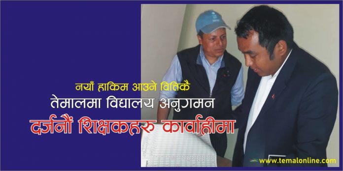 temal teacher तेमालका दर्जनौ शिक्षक कार्वाहीमा