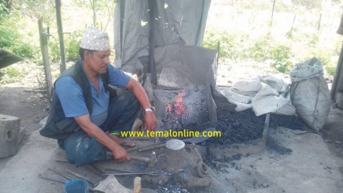 Kanchha BK पुर्खाले अपनाएको पेशामा सफल हुँदै कान्छा वि.क.