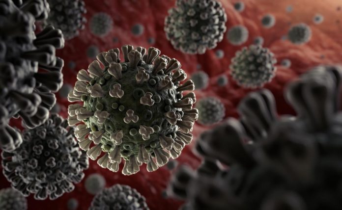 Coronavirus_WHO