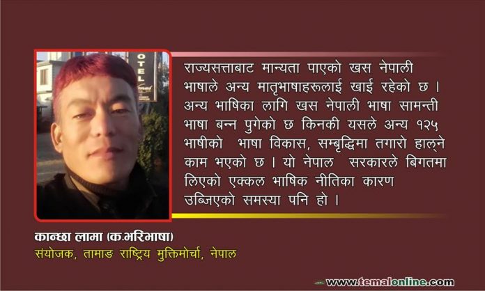 Kanchha lama